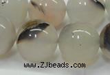 CAG6764 15 inches 14mm round Montana agate beads wholesale
