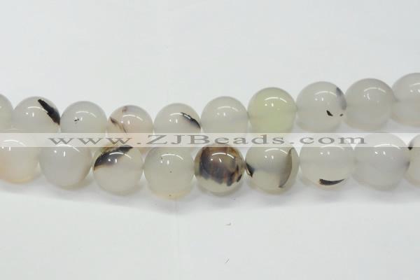 CAG6765 15 inches 16mm round Montana agate beads wholesale