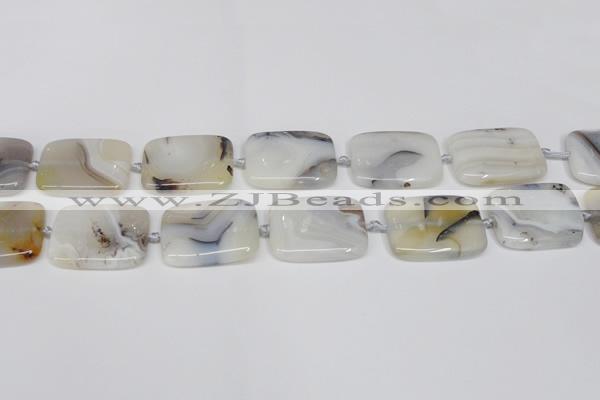 CAG7424 15.5 inches 20*30mm rectangle Montana agate beads