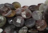CAG751 15.5 inches 10mm faceted coin botswana agate beads wholesale