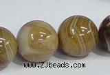 CAG943 16 inches 20mm round madagascar agate gemstone beads