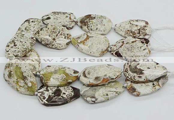 CAG9696 15.5 inches 35*45mm - 35*50mm freeform ocean agate beads
