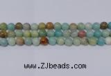 CAM04 10mm  round mixed color natural amazonite beads Wholesale