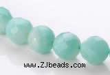 CAM28 10mm natural amazonite faceted round stone beads Wholesale