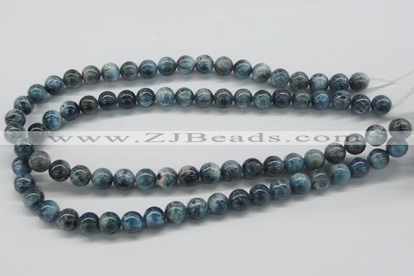 CAP06 15.5 inches 10mm round apatite gemstone beads wholesale