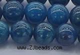 CAP363 15.5 inches 10mm round apatite gemstone beads wholesale