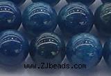 CAP365 15.5 inches 14mm round apatite gemstone beads wholesale