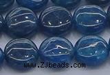 CAP382 15.5 inches 12mm flat round apatite gemstone beads
