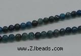 CAP51 15.5 inches 4mm round dyed apatite gemstone beads wholesale