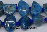 CAP532 15.5 inches 10*12mm - 16*22mm freeform apatite beads