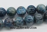 CAP55 15.5 inches 12mm round dyed apatite gemstone beads wholesale