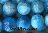 CAP590 15.5 inches 10mm round apatite beads wholesale