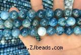 CAP602 15.5 inches 12mm round natural apatite beads wholesale