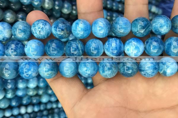 CAP609 15.5 inches 12mm round natural apatite gemstone beads