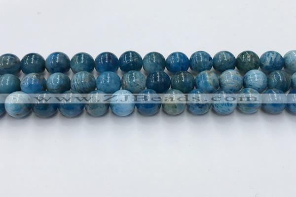 CAP632 15.5 inches 10mm round apatite beads wholesale