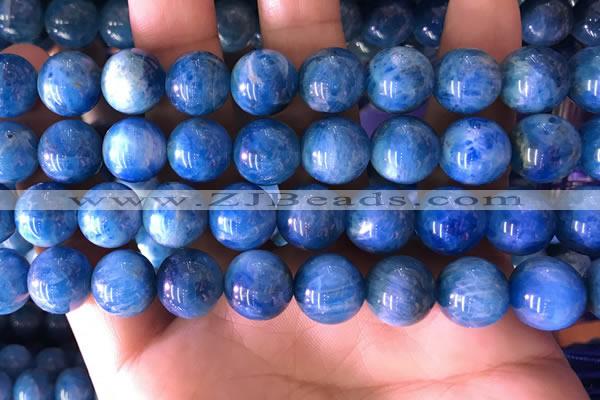 CAP644 15.5 inches 12mm round natural apatite gemstone beads