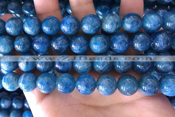 CAP645 15.5 inches 12mm round natural apatite gemstone beads