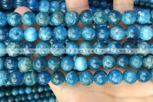 CAP653 15.5 inches 10mm round natural apatite beads wholesale