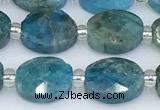 CAP711 15.5 inches 8*10mm faceted oval apatite gemstone beads