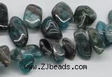 CAP73 15.5 inches 10*20mm nugget dyed apatite gemstone beads wholesale