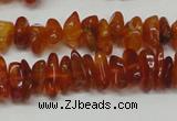 CAR115 16 inches 3*6mm - 4*8mm natural amber chips beads