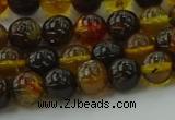 CAR501 15.5 inches 6mm - 7mm round natural amber beads wholesale