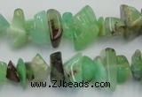 CAU407 15.5 inches 4*8mm - 6*14mm Australia chrysoprase chips beads