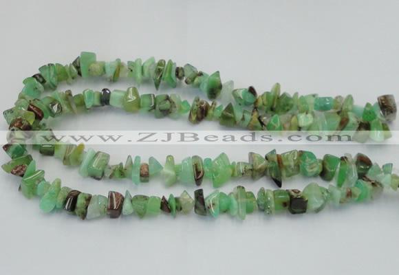 CAU407 15.5 inches 4*8mm - 6*14mm Australia chrysoprase chips beads