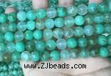 CAU443 15.5 inches 9mm round Australia chrysoprase beads