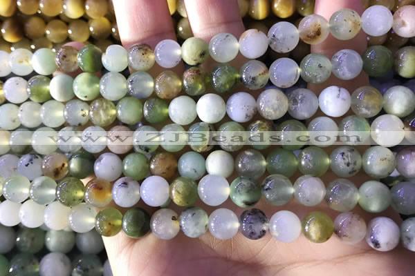 CAU461 15.5 inches 8mm round Australia chrysoprase beads