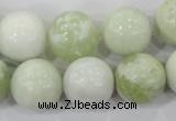 CBJ207 15.5 inches 16mm round butter jade beads wholesale