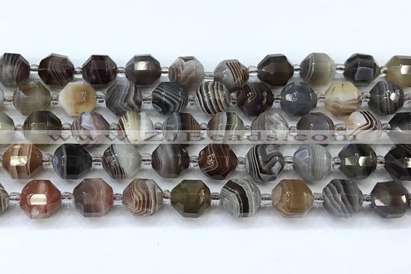 CCB1474 15 inches 9mm - 10mm faceted botswana agate beads