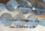 CCB607 15.5 inches 6mm faceted coin labradorite gemstone beads