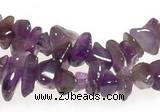 CCH12 35 inches purple amethyst chips gemstone beads wholesale