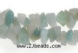 CCH20 32 inches amazonite chips gemstone beads wholesale