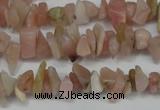 CCH202 34 inches 3*5mm pink opal chips gemstone beads wholesale