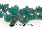 CCH21 34 inches amazonite chips gemstone beads wholesale