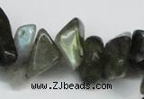 CCH277 34 inches 8*12mm labradorite chips gemstone beads wholesale