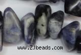 CCH300 34 inches 8*12mm sodalite chips gemstone beads wholesale