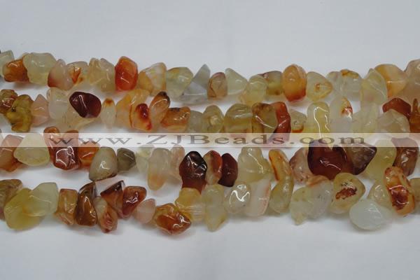 CCH305 34 inches 8*12mm red agate chips gemstone beads wholesale