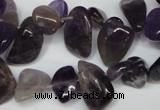 CCH316 15.5 inches 10*15mm amethyst chips gemstone beads wholesale