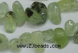 CCH318 15.5 inches 10*15mm prehnite chips gemstone beads wholesale