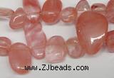 CCH334 15.5 inches 10*15mm cherry quartz chips beads wholesale