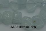 CCH606 15.5 inches 8*12mm - 10*15mm aquamarine chips gemstone beads