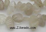 CCH622 15.5 inches 6*8mm - 10*14mm golden rutilated quartz chips beads