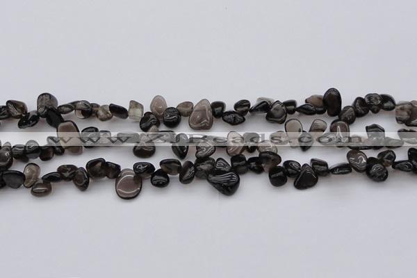 CCH623 15.5 inches 6*8mm - 10*14mm smoky quartz chips beads