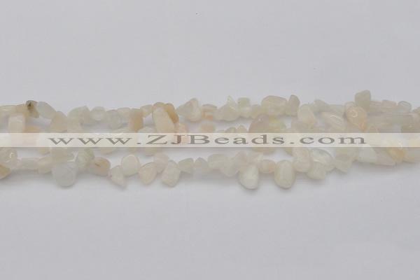 CCH624 15.5 inches 6*8mm - 10*14mm white moonstone chips beads