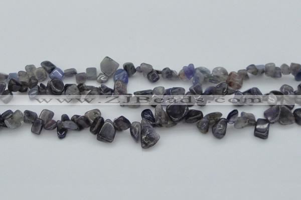 CCH627 15.5 inches 6*8mm - 10*14mm iolite gemstone chips beads