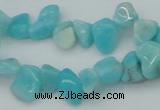 CCH631 15.5 inches 6*8mm - 10*14mm Peru amazonite chips beads