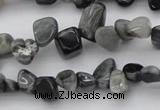CCH633 15.5 inches 6*8mm - 10*14mm eagle eye jasper chips beads